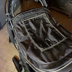 エアバギーミミの画像