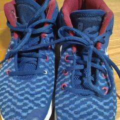 NIKE　バッシュ　ジュニアサイズの画像