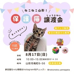 山形市 保護猫譲渡会【8/17】