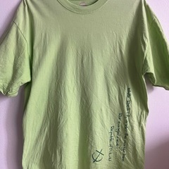 パラオのロゴ入り Tシャツ Mサイズ ライトグリーンの画像