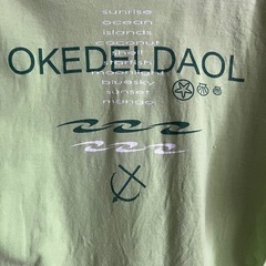 パラオのロゴ入り Tシャツ Mサイズ ライトグリーンの画像