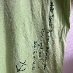 パラオのロゴ入り Tシャツ Mサイズ ライトグリーンの画像