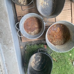 植木鉢の画像