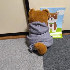 おしゃべりコウタの画像