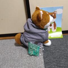 おしゃべりコウタの画像
