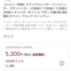 ズボンハンガー 20本掛けの画像