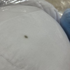 サンリオクジ一等🎯シナモンロールBIGぬいぐるみ🧸の画像