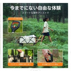 Litheli 自走式電動キャリーワゴン W1 Pro Litheli Electric Carry Wagon W1 Proの画像
