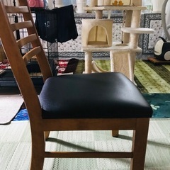 ダイニングチェアの画像