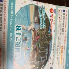 無料入園チケット　東京サマーランド　4枚分　バラ売り要相談の画像