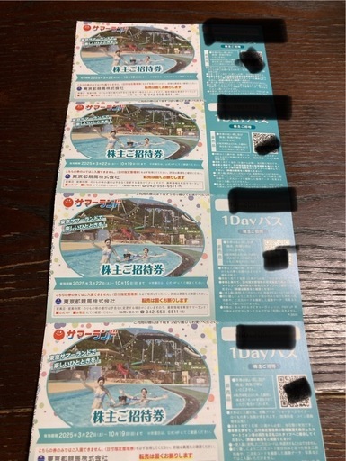 無料入園チケット　東京サマーランド　4枚分　バラ売り要相談