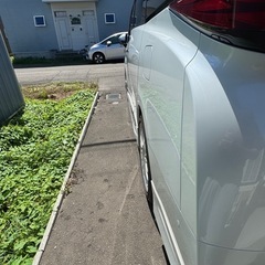 カールソン1/16 20インチの画像