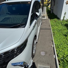 カールソン1/16 20インチの画像