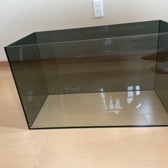 オールガラス水槽　６０センチ　　１７日までの画像