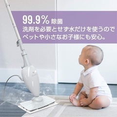 スチームクリーナー  Light’n’Easy の画像