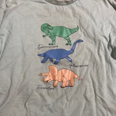 120cm Tシャツ　男の子の画像