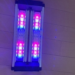 水槽ライトの画像