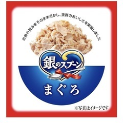 キャットフード　銀のスプーン　　缶詰40個の画像