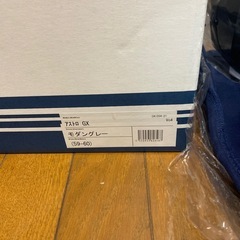 アライ　アストロGX 　モダングレー　Lサイズの画像