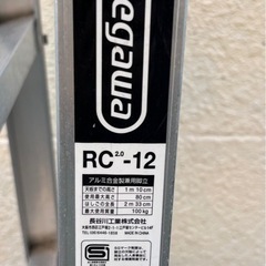Hasegawa　 はしご兼用脚立　RC-12　RC2.0-12　最大重量100kg　　　の画像
