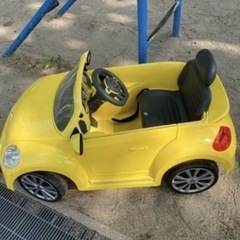 Volkswagen The Beetle の画像