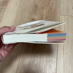 小学生の新レインボー　オールカラー　　漢字辞典 第5版の画像