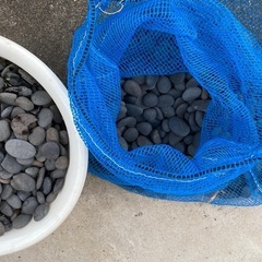 黒玉石
の画像