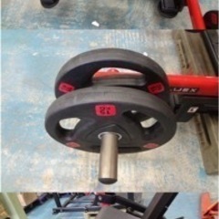 レッグエクステンション（PLUEX）の画像