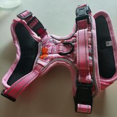 ハーネス 犬 ペット用の画像