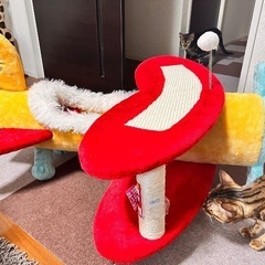 猫ちゃん爪とぎ　遊具の画像