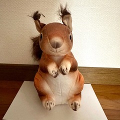 【未使用】エゾリスのぬいぐるみ 水洗い可 子供 ペットにの画像