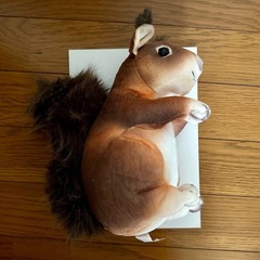【未使用】エゾリスのぬいぐるみ 水洗い可 子供 ペットにの画像