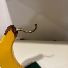 バナナハンガーの画像