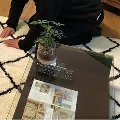 ガラス ローテーブル リビングの画像