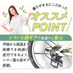 THREE STONE 折りたたみ自転車 自転車 20インチ P-008 シマノ6段ギア カゴ ライト ワイヤーロック錠 プレゼント 通勤 通学 街乗りの画像