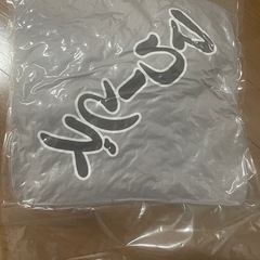 千葉ロッテマリーンズごっちゃし座布団の画像