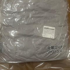 千葉ロッテマリーンズごっちゃし座布団の画像
