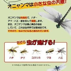 オニヤンマ 虫除け おにやんまフィギュア 虫対策 とんぼ 2個の画像