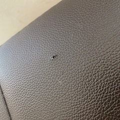 オットマン　ソファ　イス　　下収納
の画像