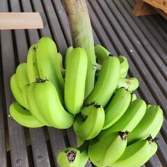 (A) 青バナナ🍌 (約5.0kg)の画像