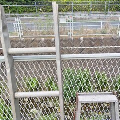 逗子 無料あげます はしご 脚立 ハシゴ ラダーの画像