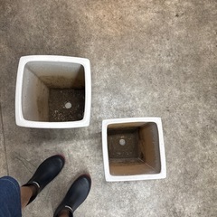 陶器鉢大の画像