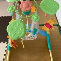 プーメリーの画像