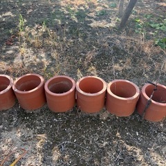 植木鉢　お譲りしますの画像