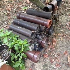 植木鉢　お譲りしますの画像