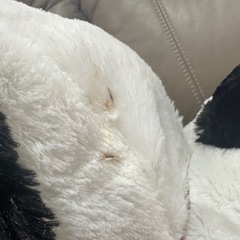 新品　タグ付き　ぬいぐるみ　の画像