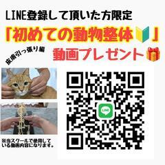 【オンラインスクール】動物整体にくきゅう屋の画像