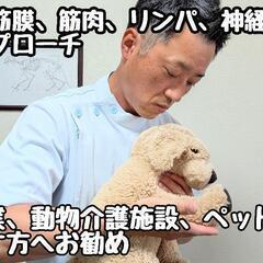 【オンラインスクール】動物整体にくきゅう屋の画像
