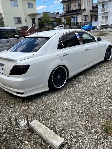 120マークx
