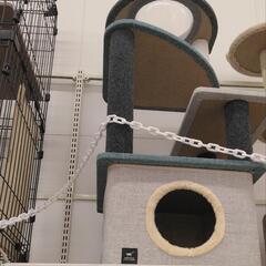 未使用　キャットタワーの画像